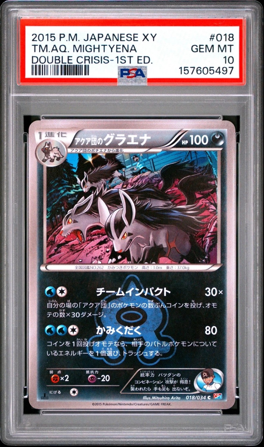 TM.AQ. MIGHTYENA