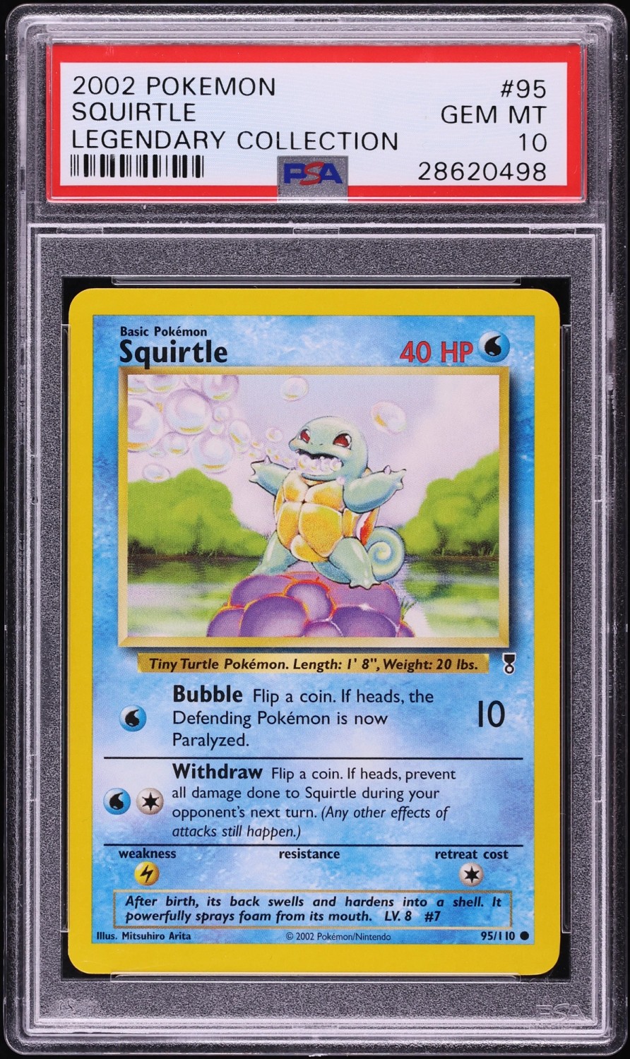 Squirtle