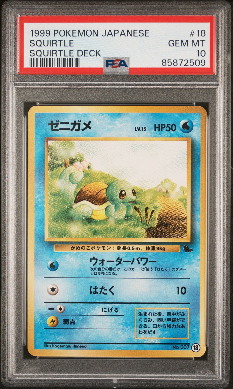Squirtle