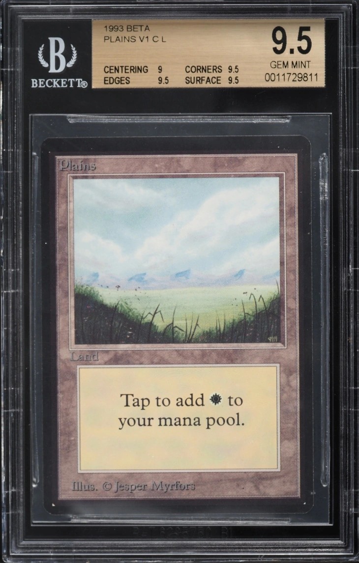 Plains