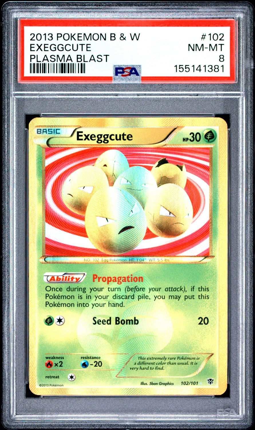 Exeggcute
