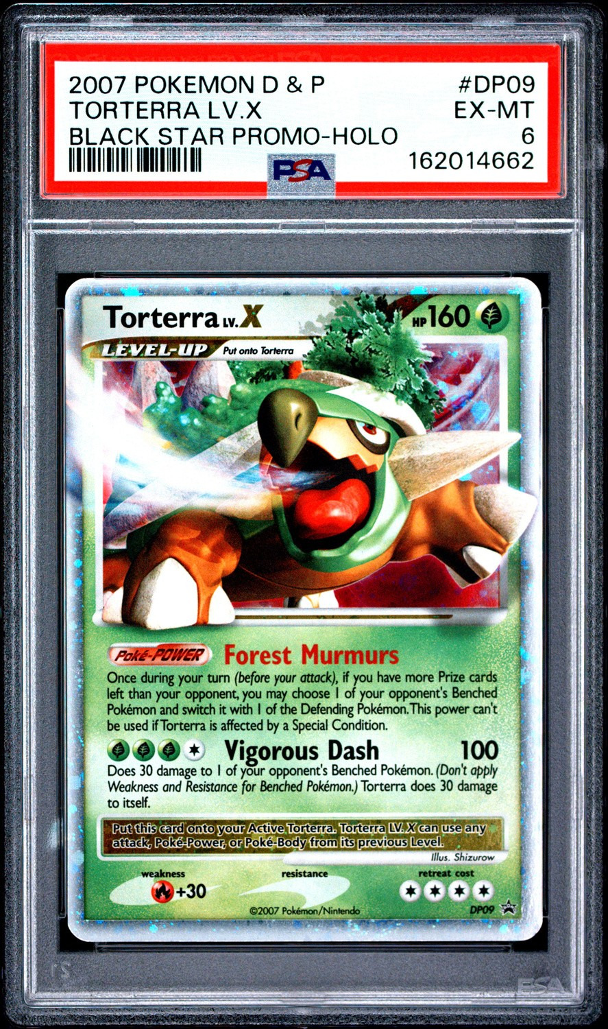 TORTERRA LV.X