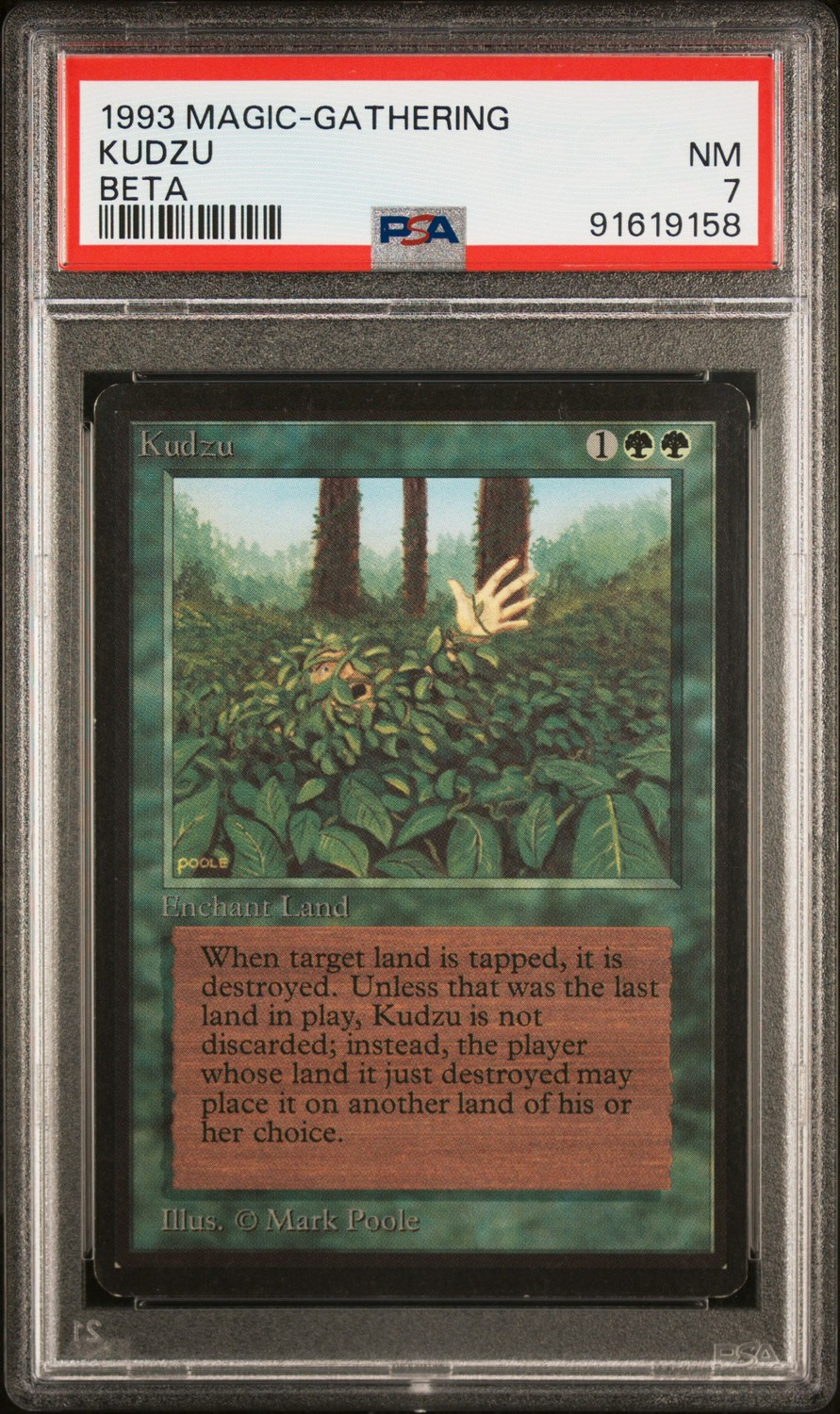 Kudzu