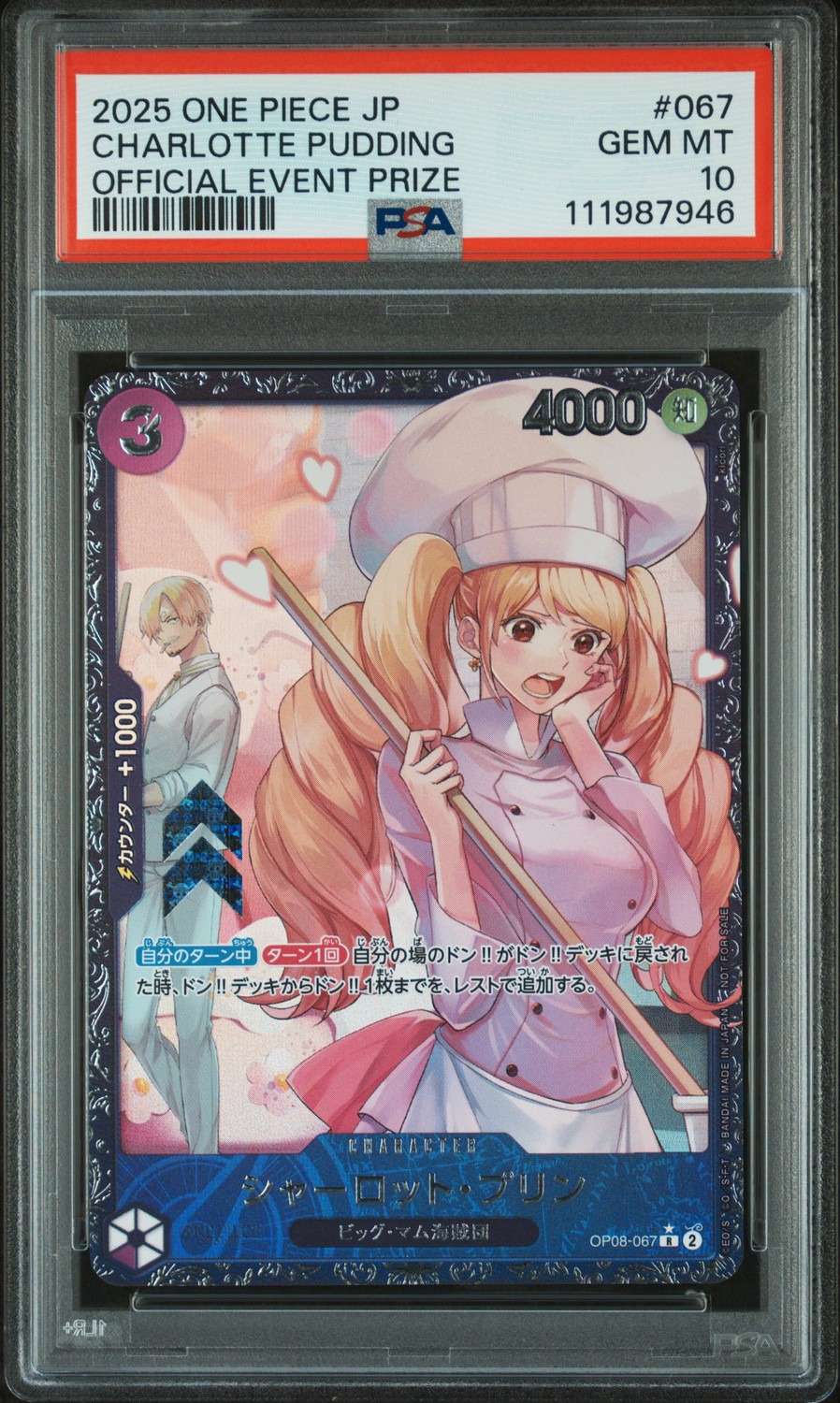 Charlotte Pudding