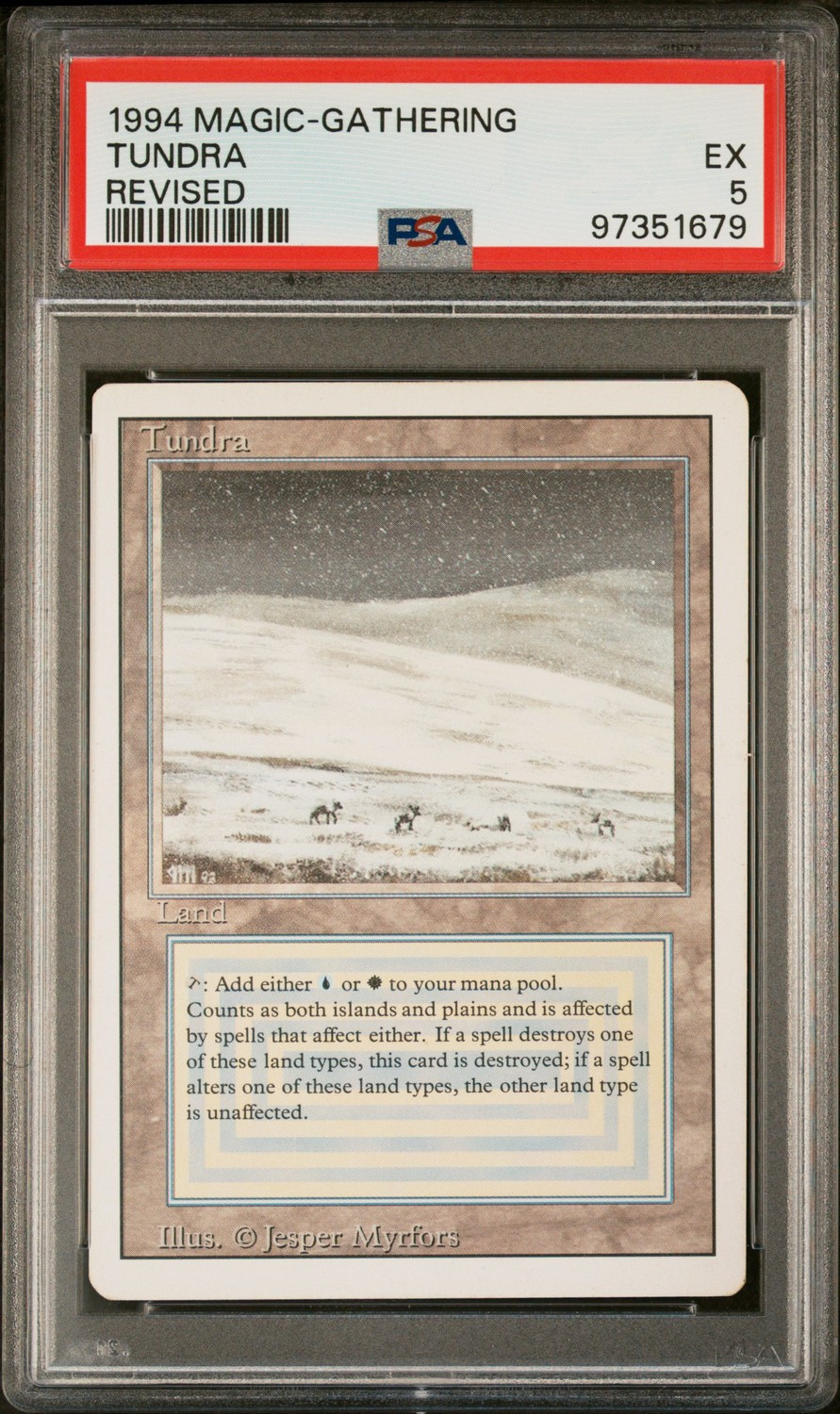 Tundra