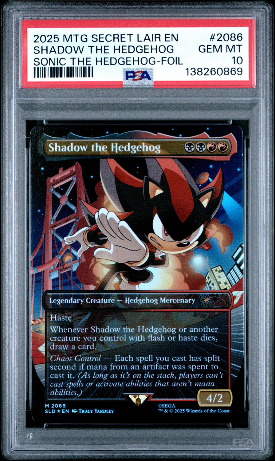 Shadow The Hedgehog