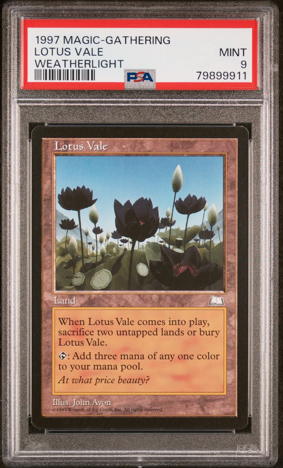 Lotus Vale