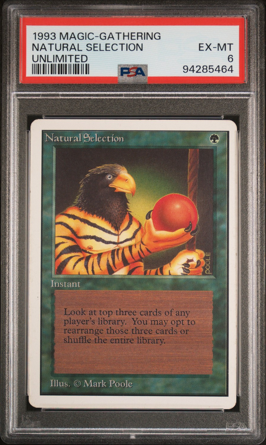 Natural Selection