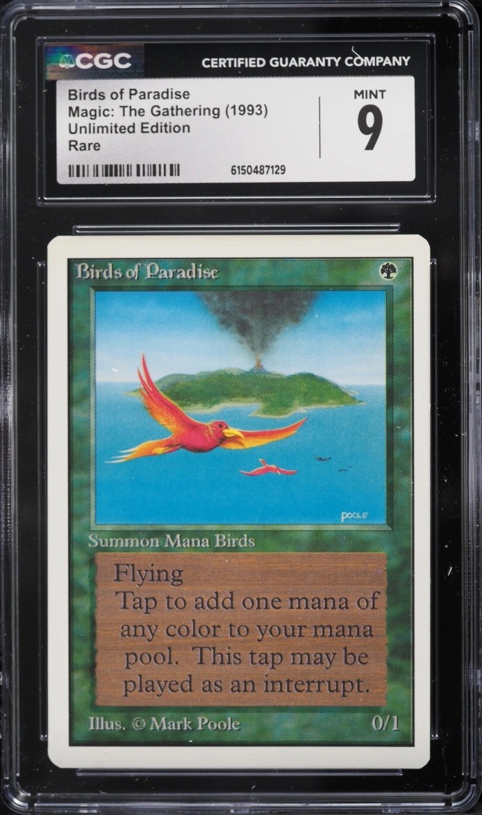 Birds of Paradise