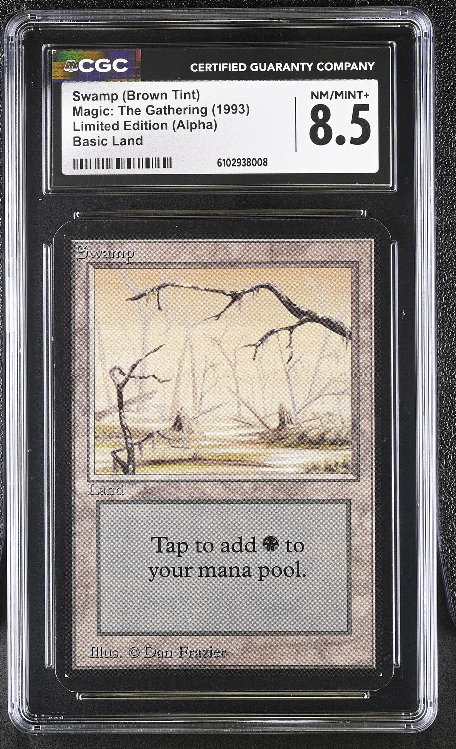 Swamp (Brown Tint)