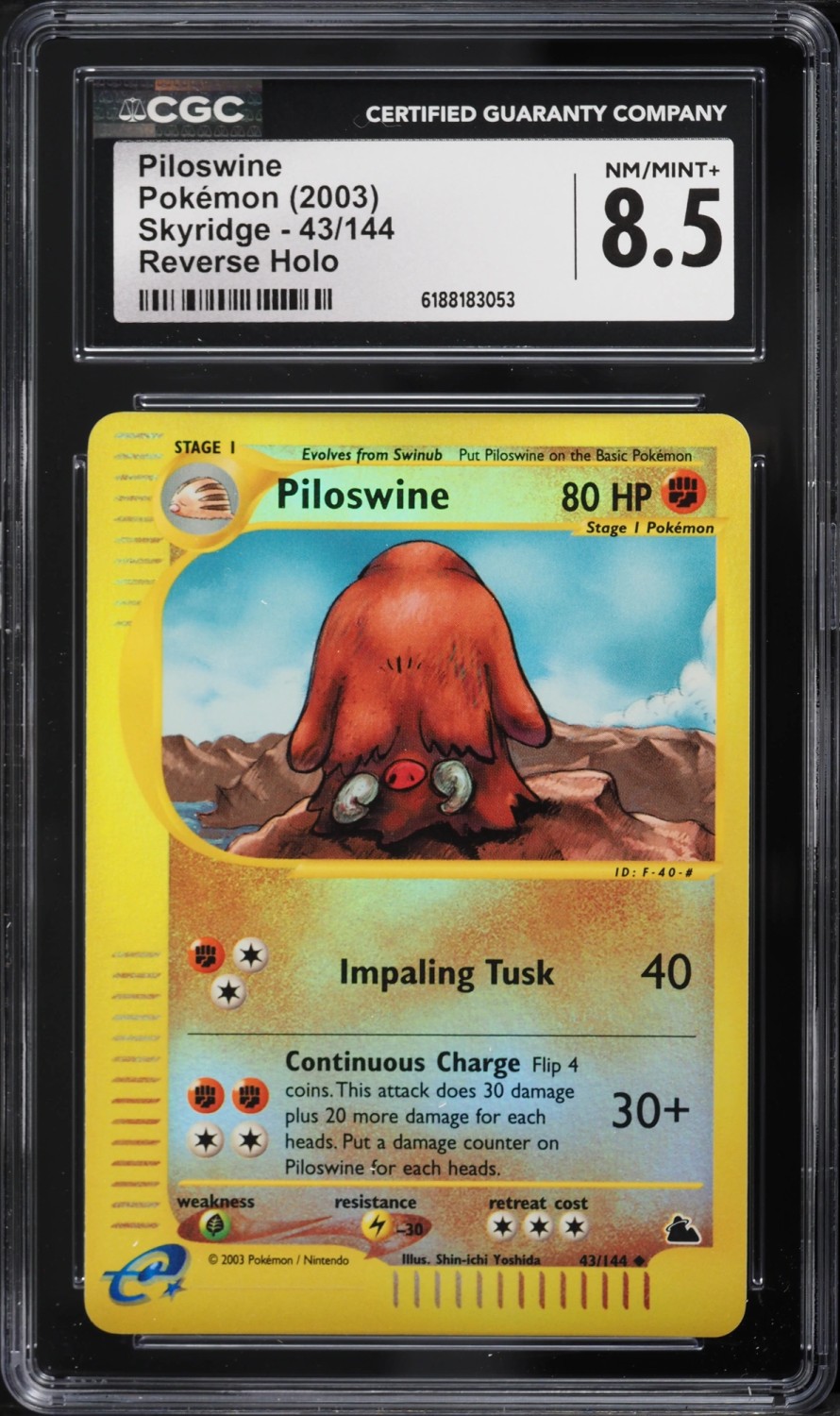 Piloswine