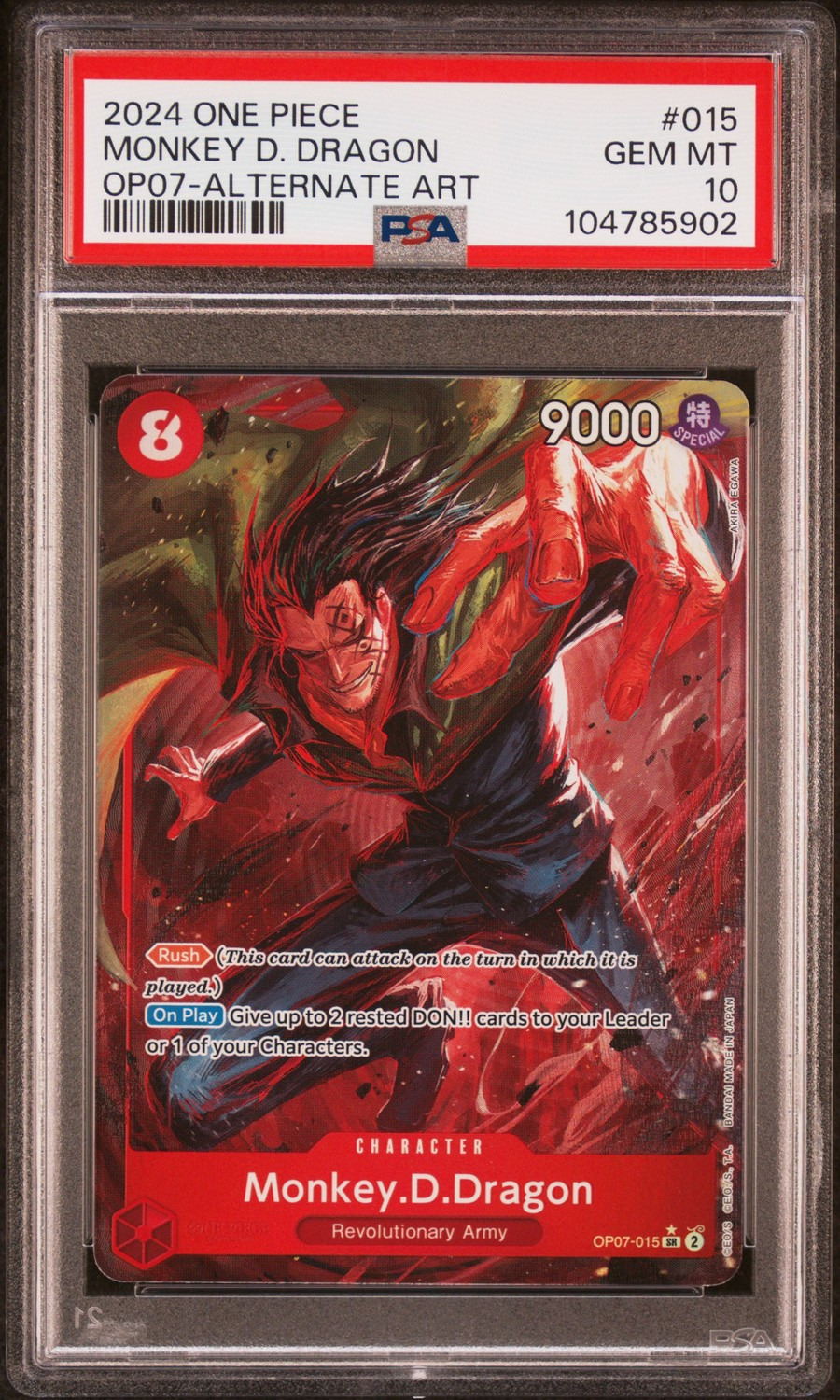 Monkey D. Dragon
