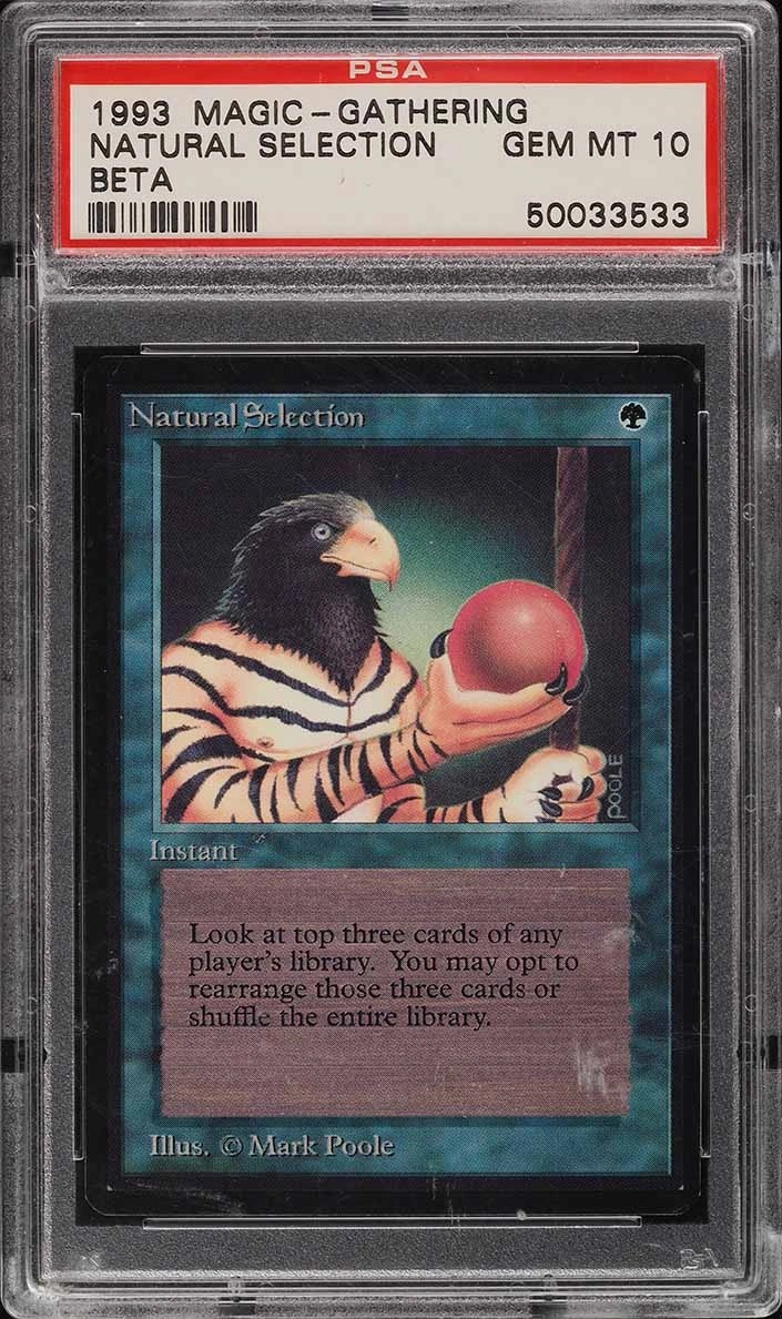 Natural Selection