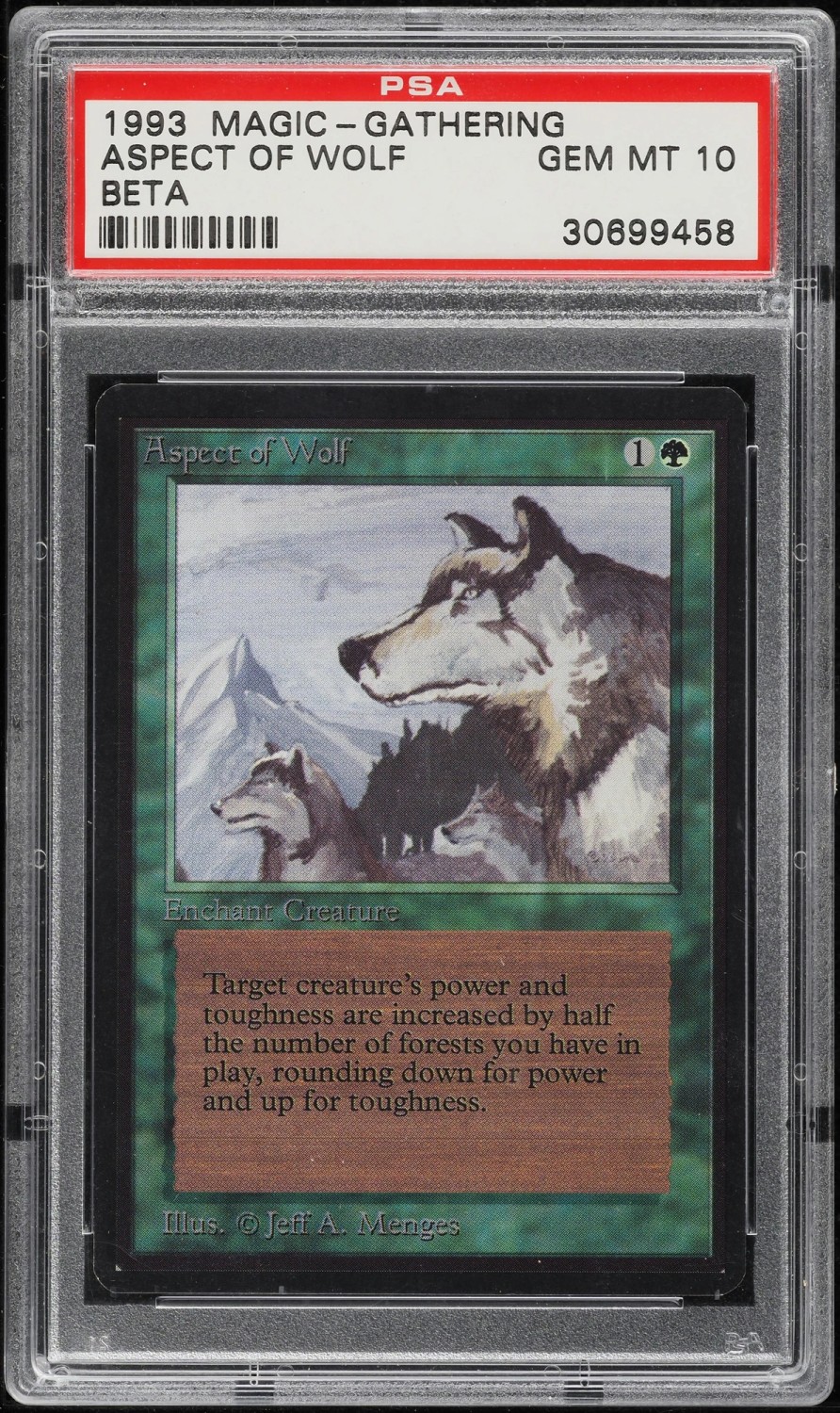 Aspect of Wolf