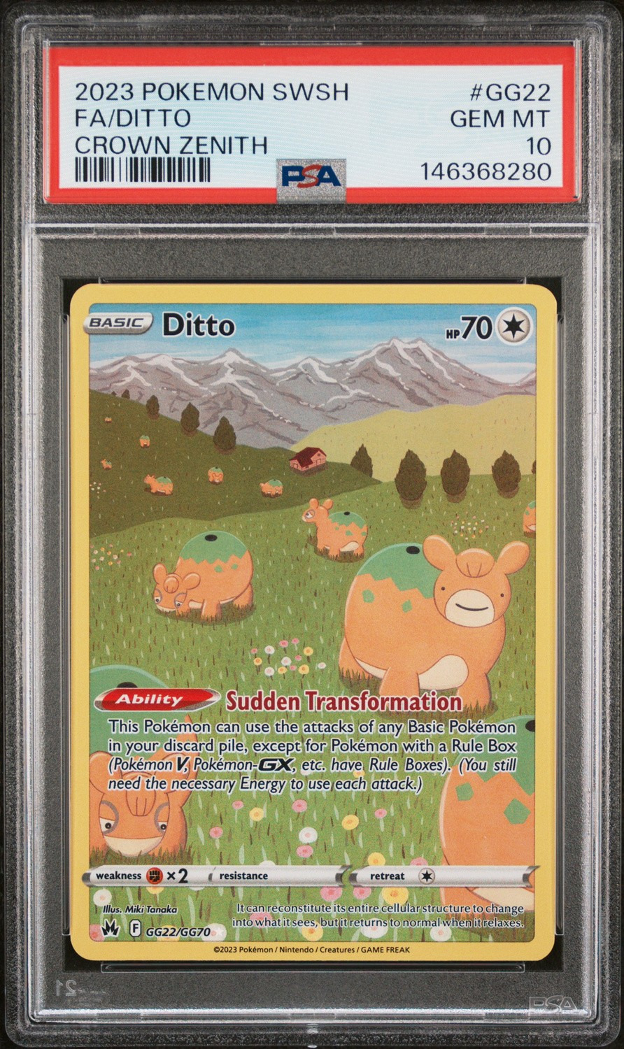 Ditto