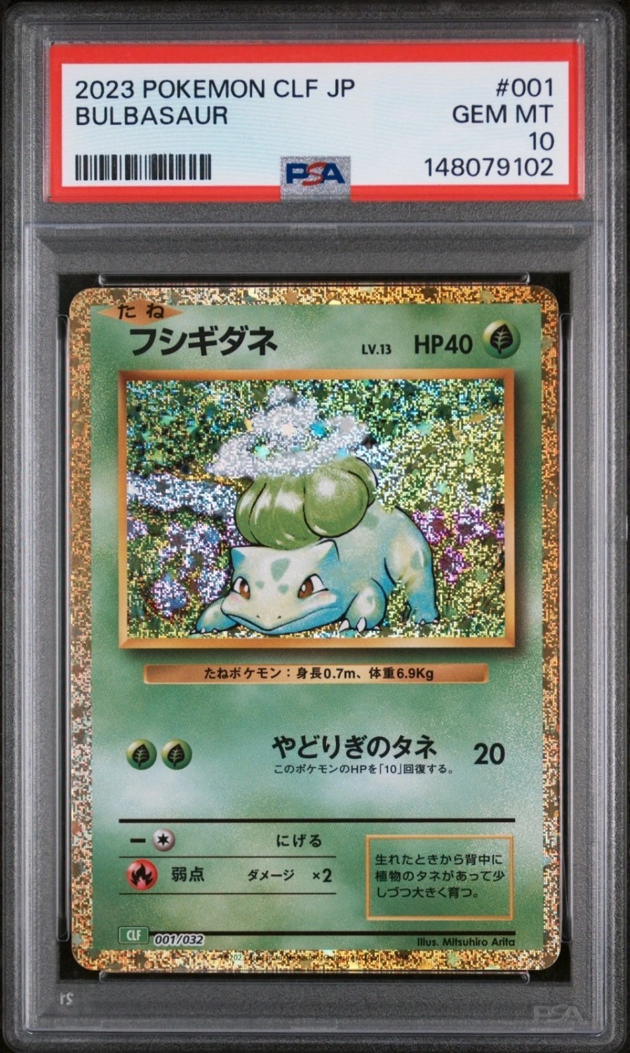 Squirtle