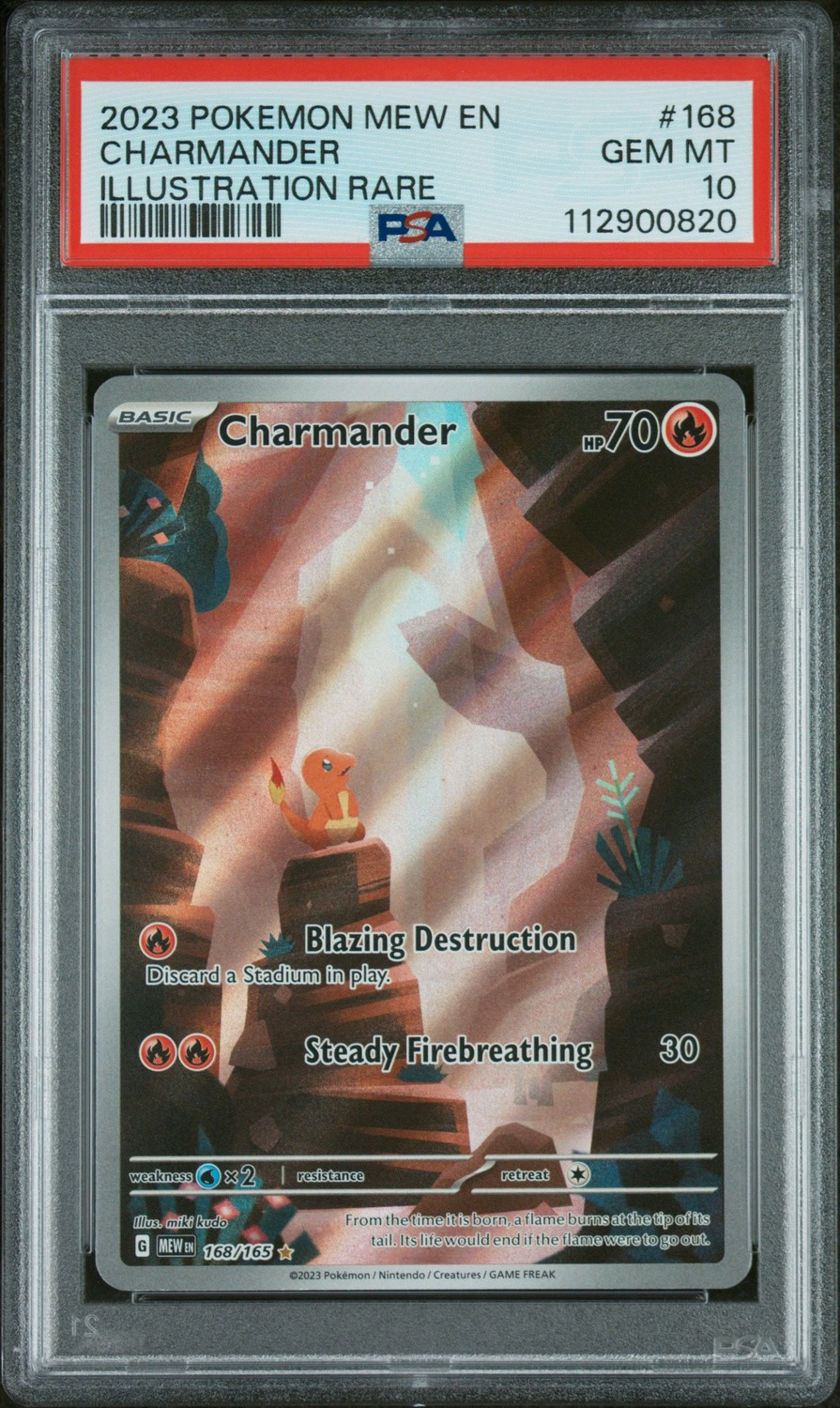 CHARMANDER