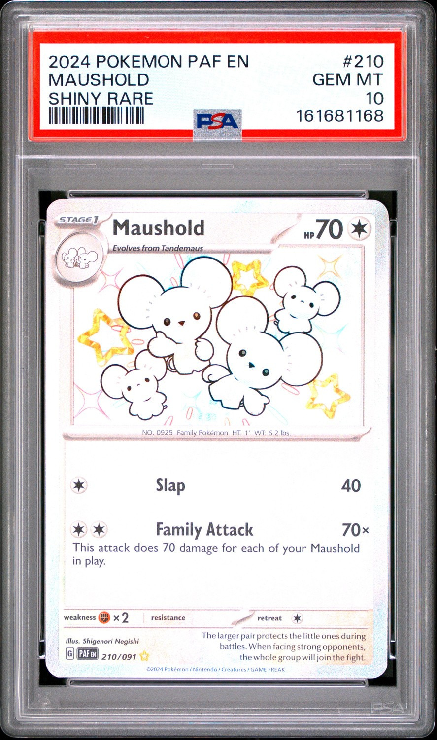 Maushold