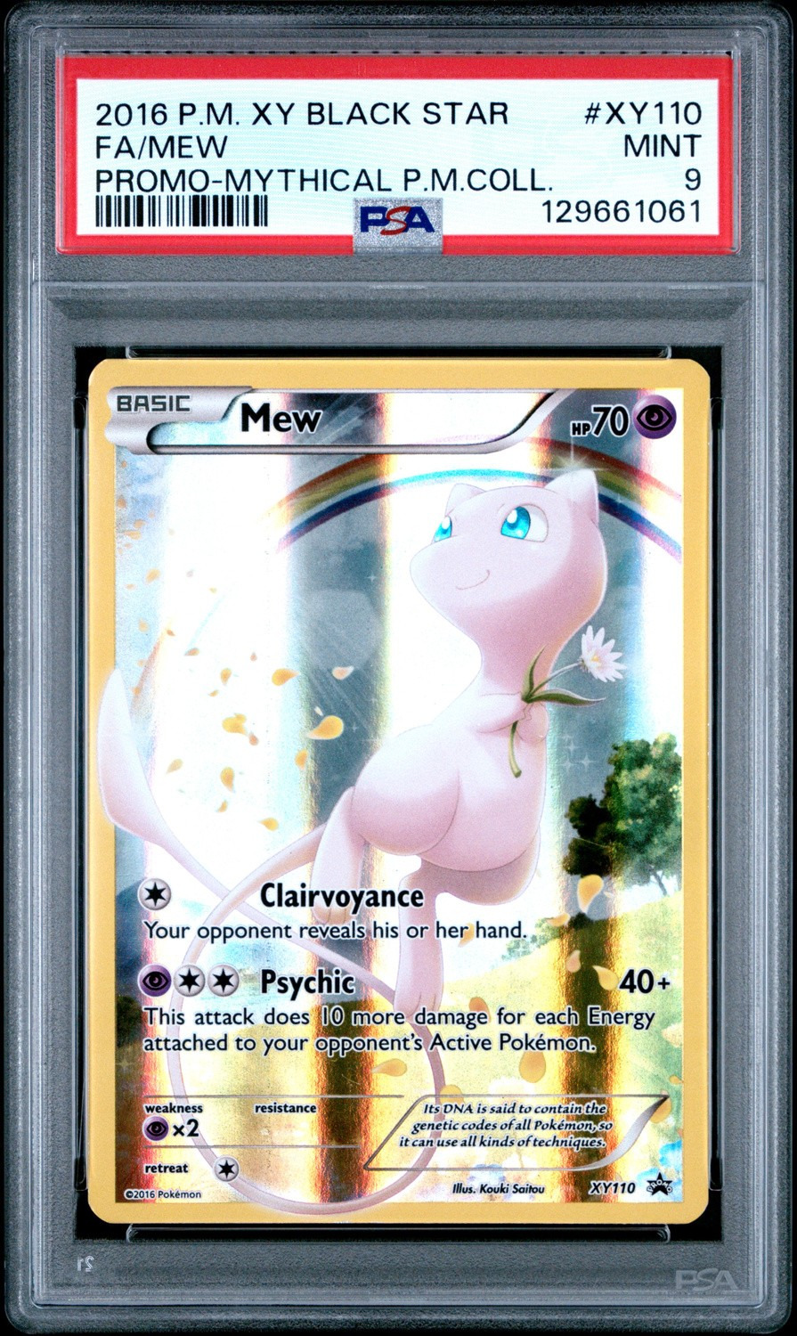 FA/MEW