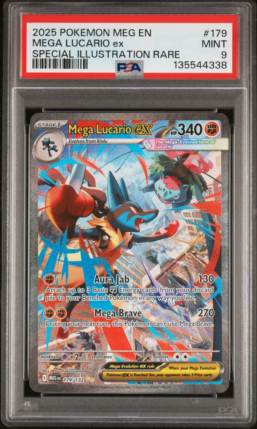 MEGA LUCARIO ex