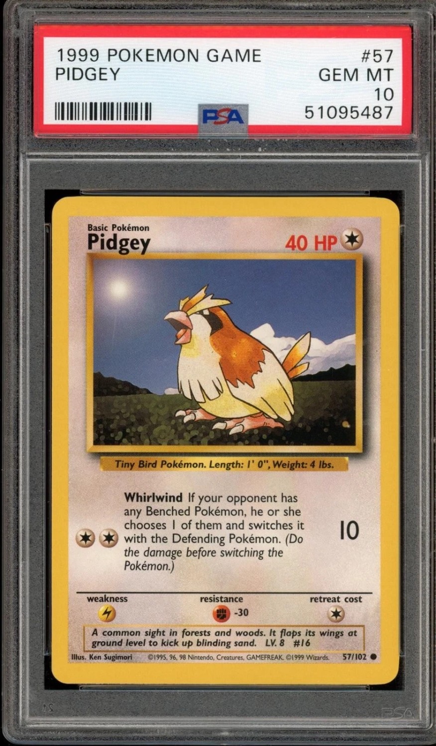 PIDGEY