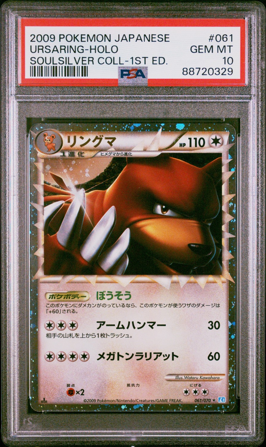 Ursaring