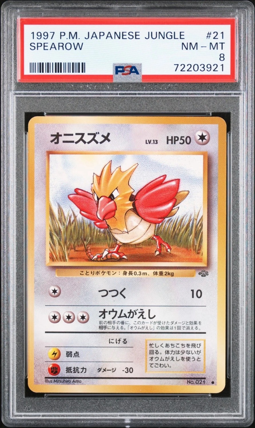 Spearow