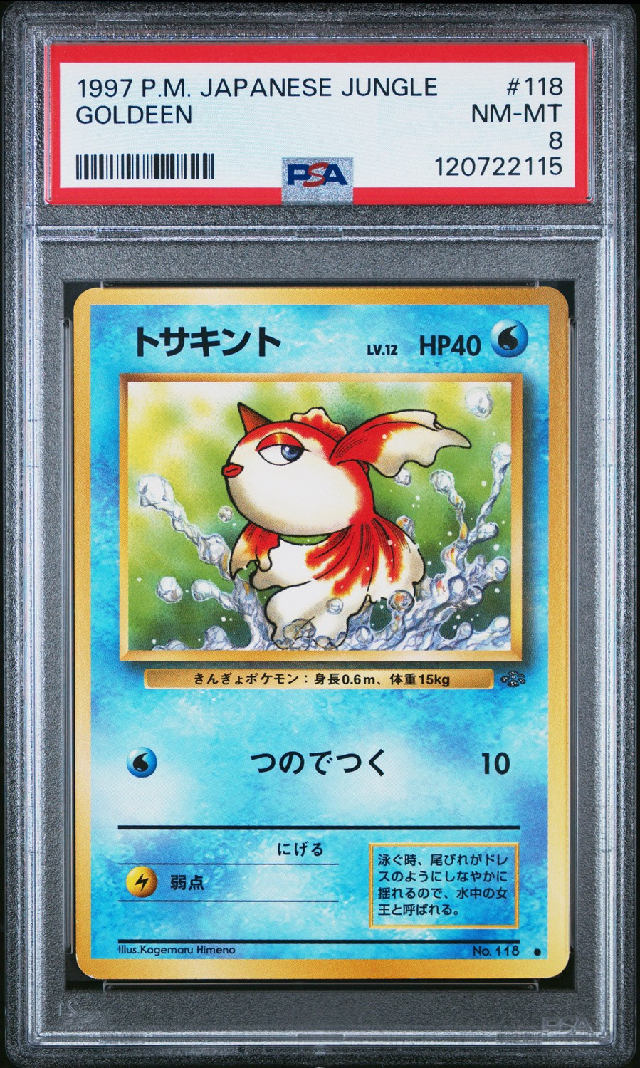 Goldeen