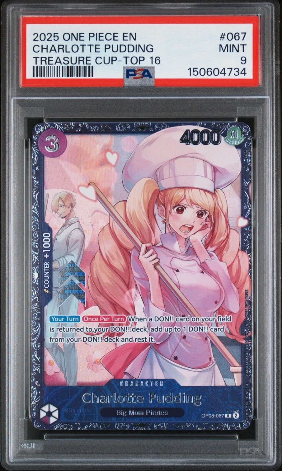 Charlotte Pudding