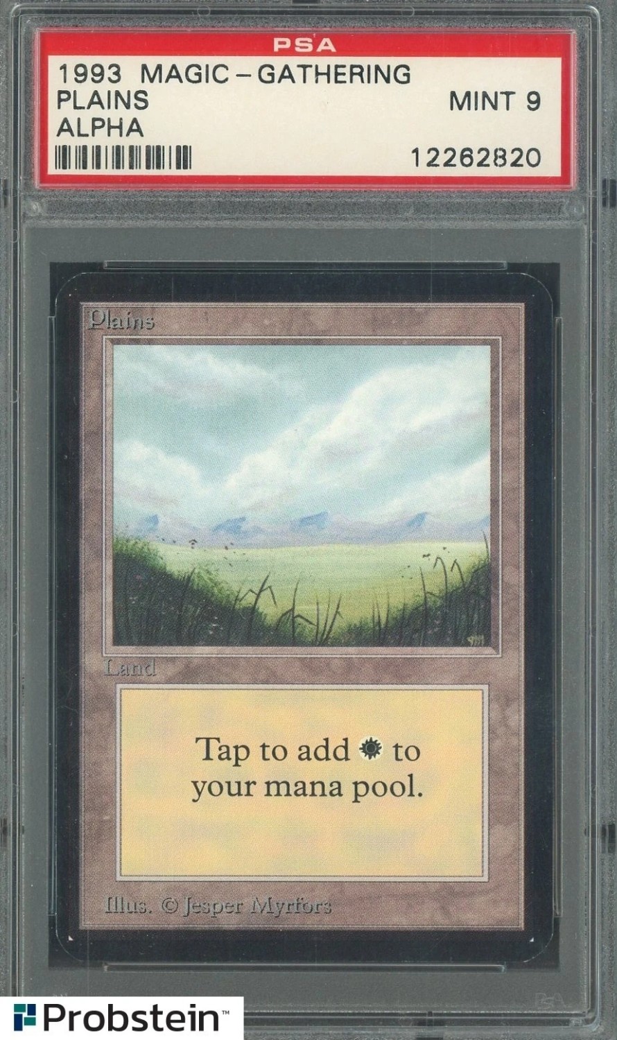 Plains (No Trees)