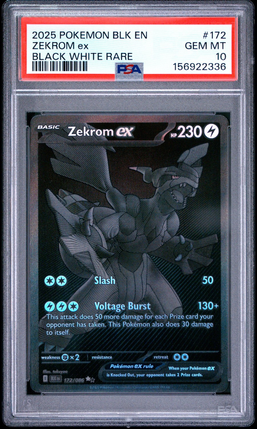 ZEKROM ex