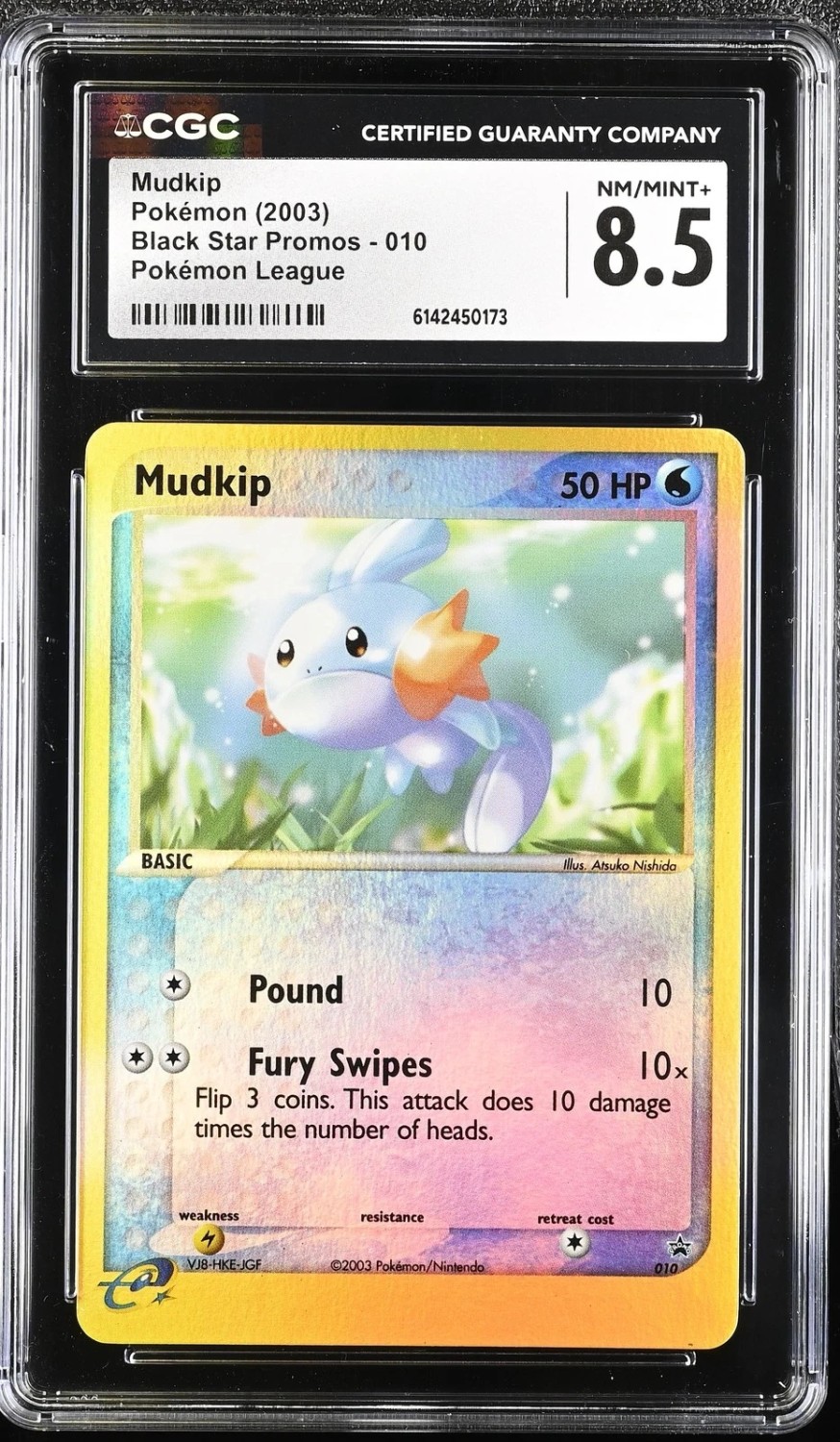 Mudkip