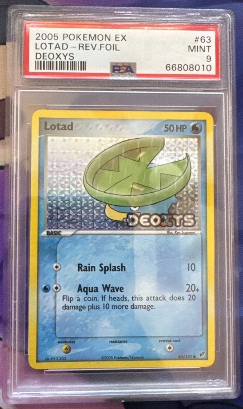 Lotad
