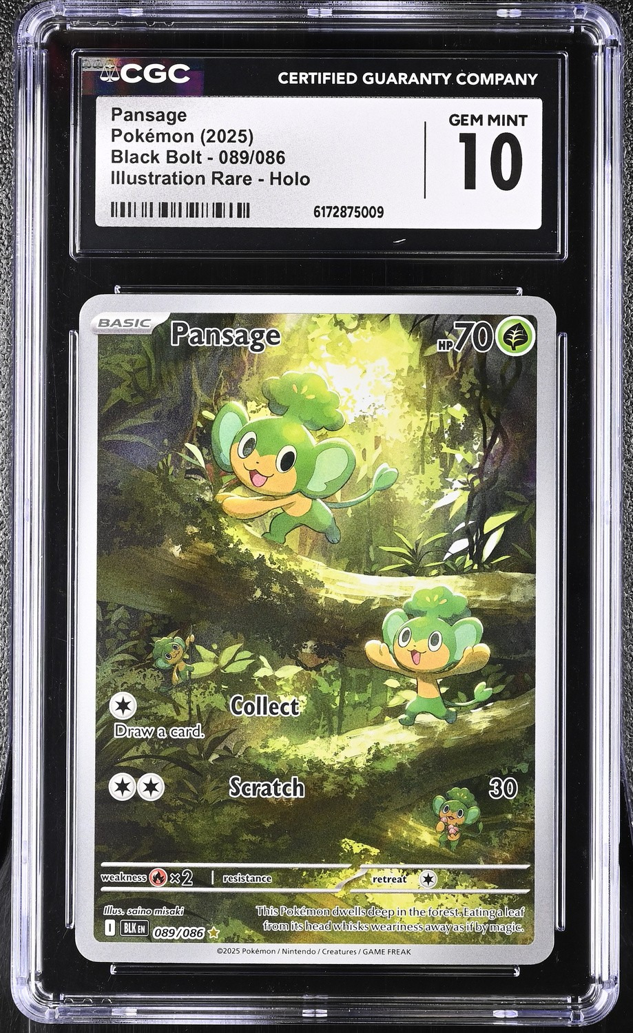 Pansage