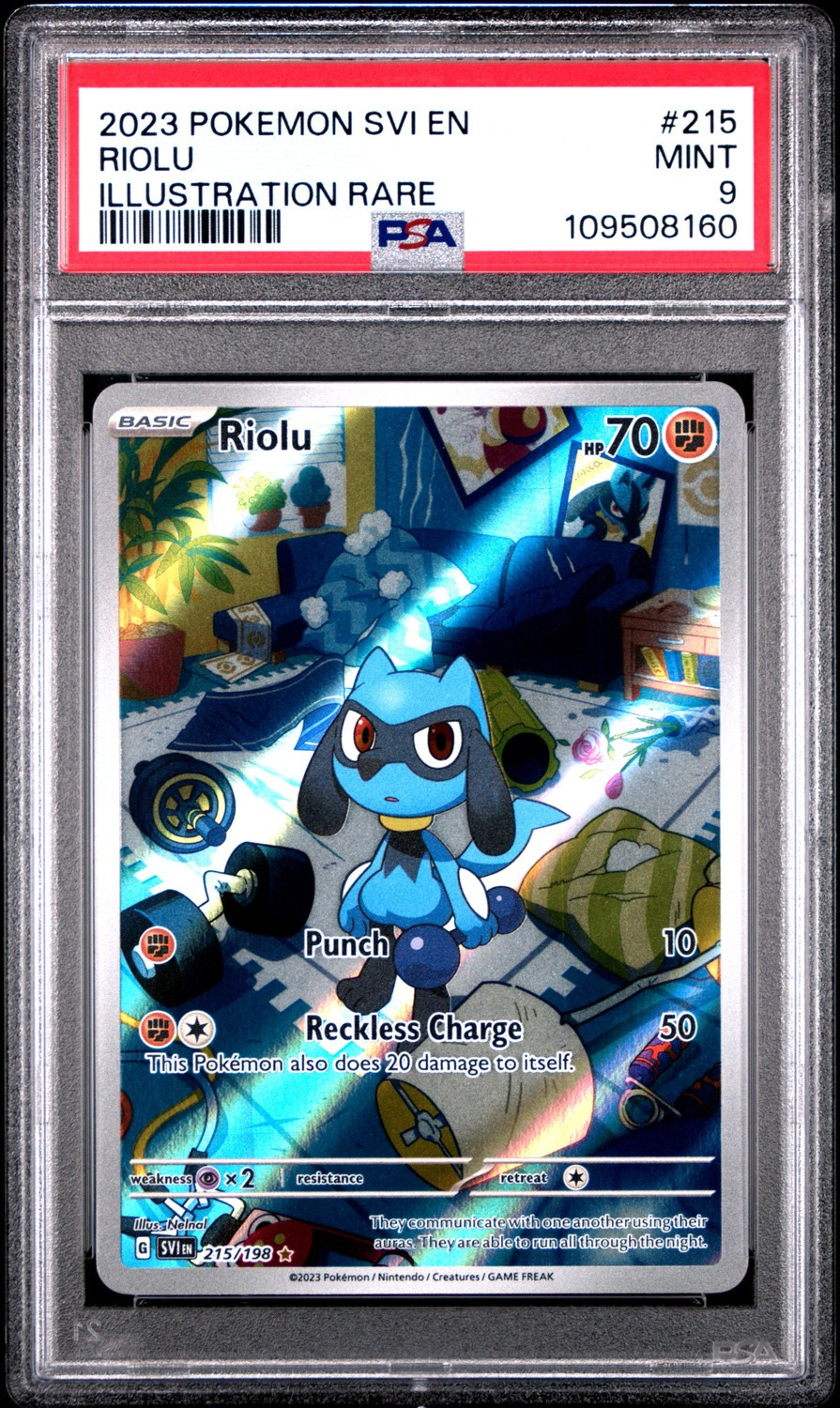 Riolu