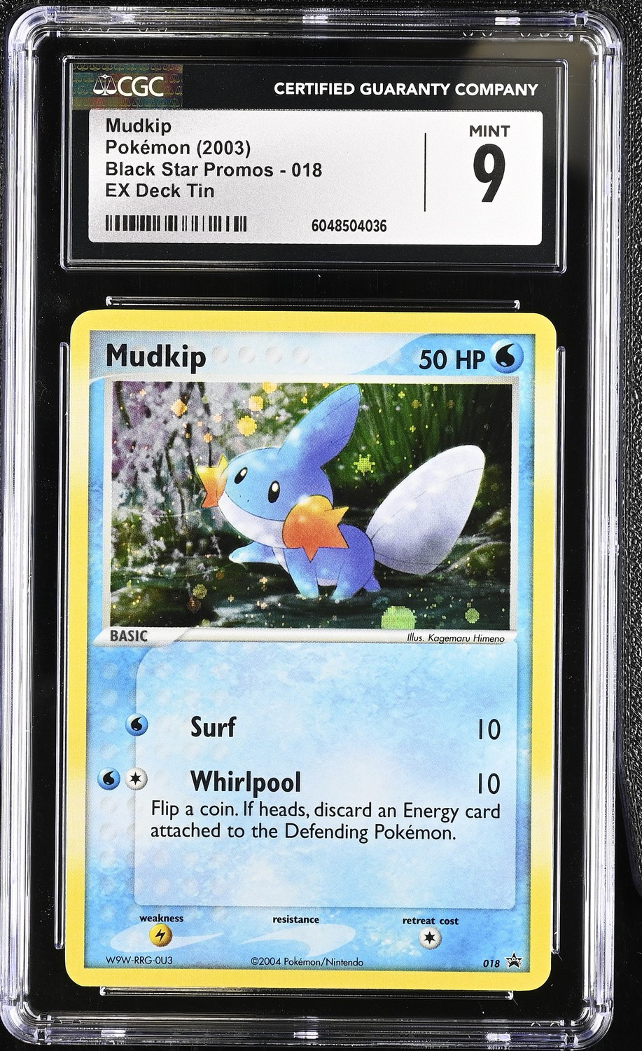 Mudkip
