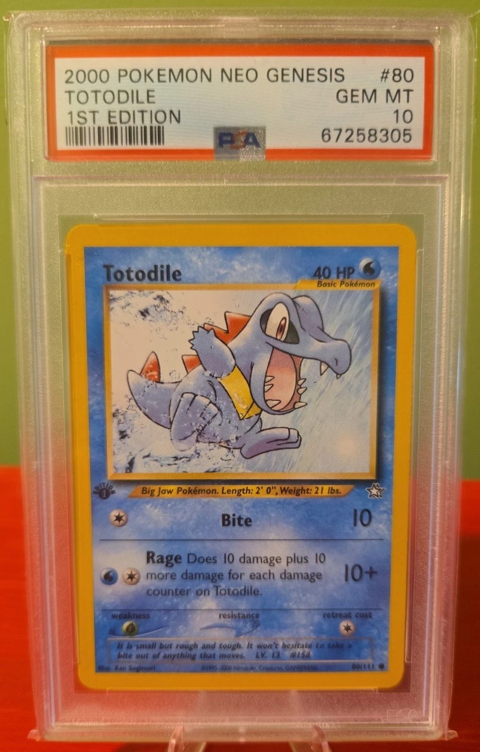 Totodile