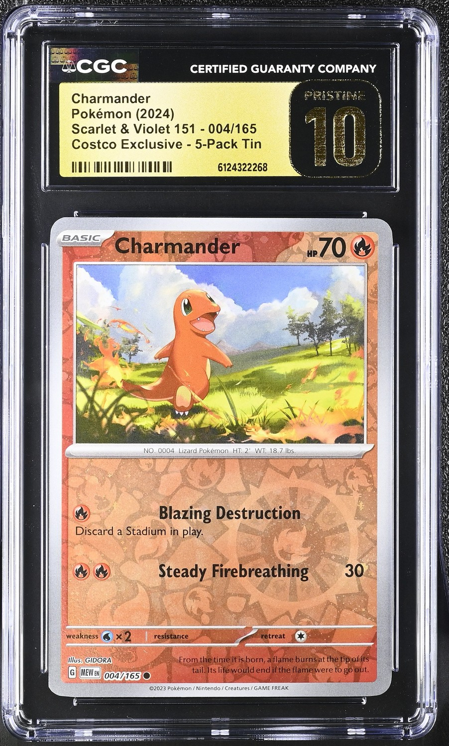 CHARMANDER