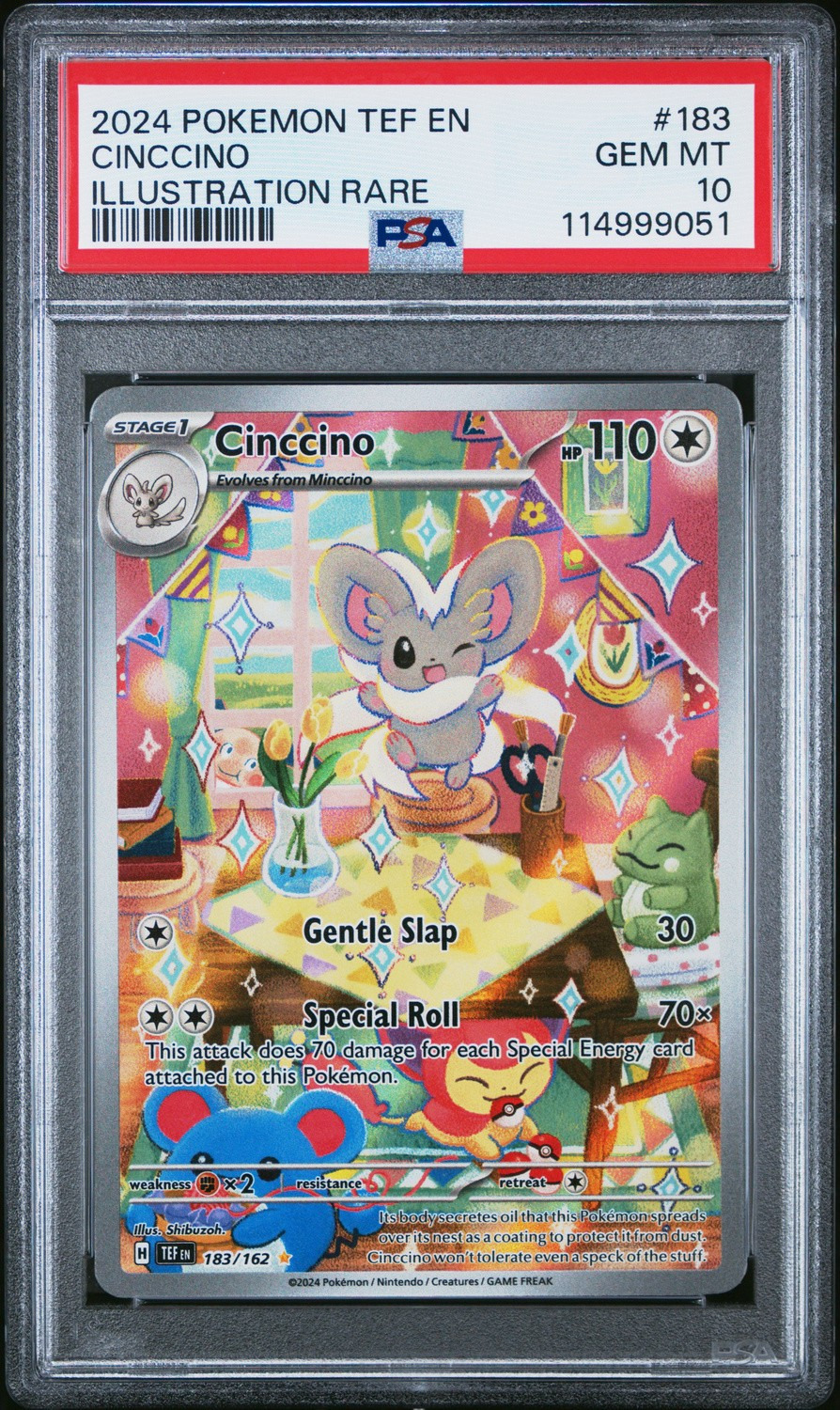 Cinccino