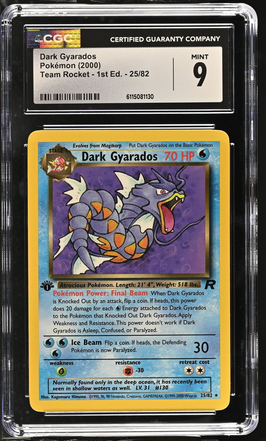 DARK GYARADOS