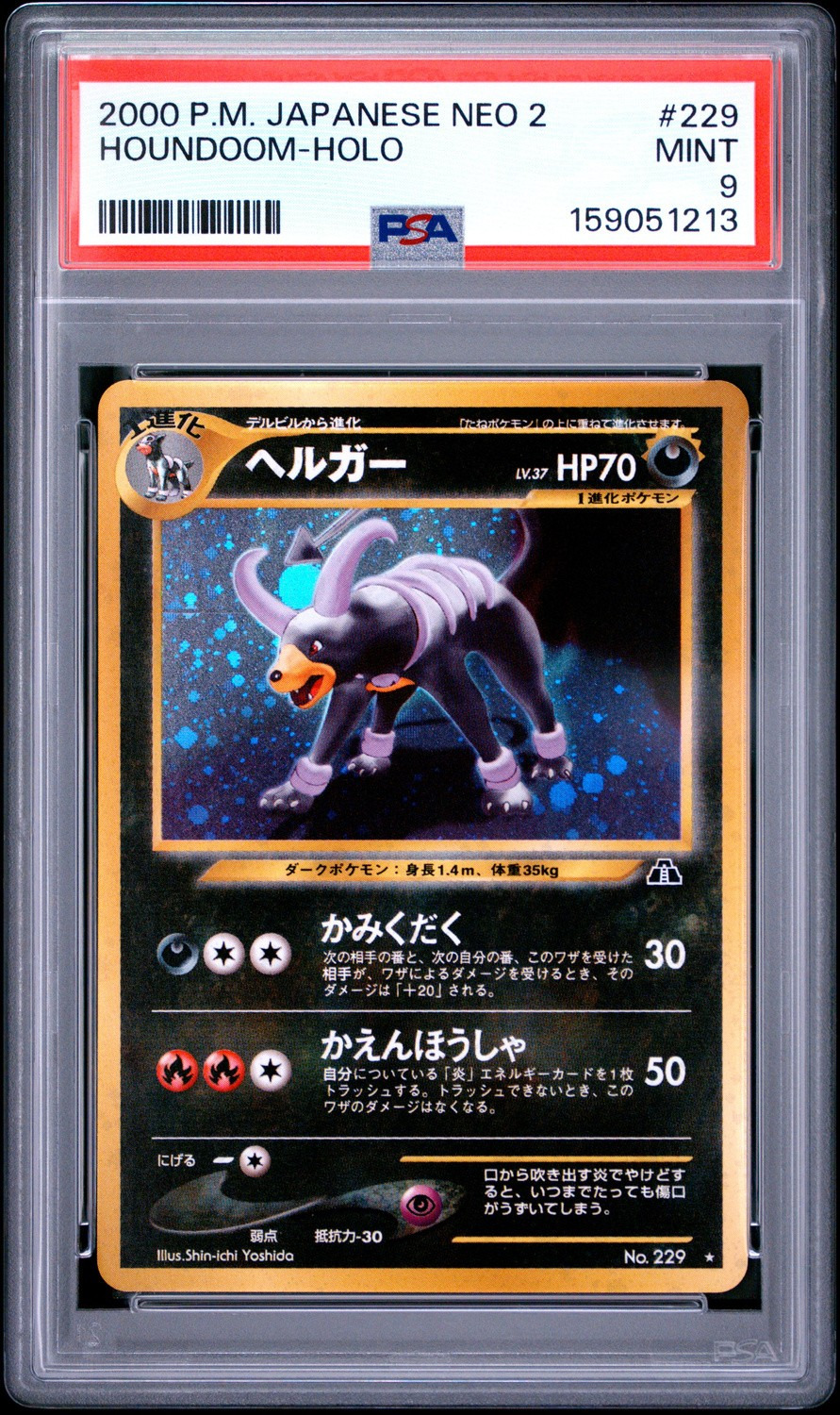 Houndoom