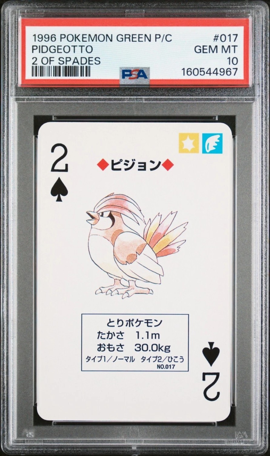 Pidgeotto