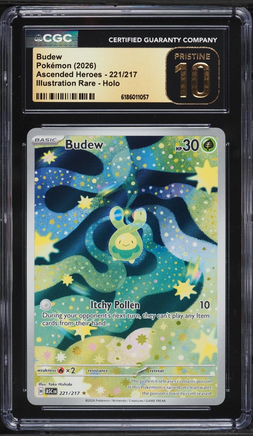 Budew