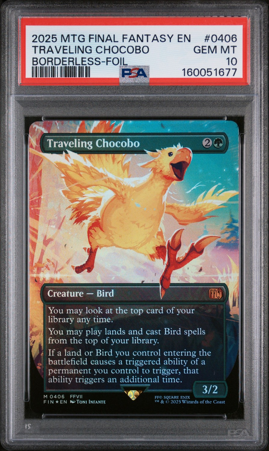 Traveling Chocobo BORDERLESS M