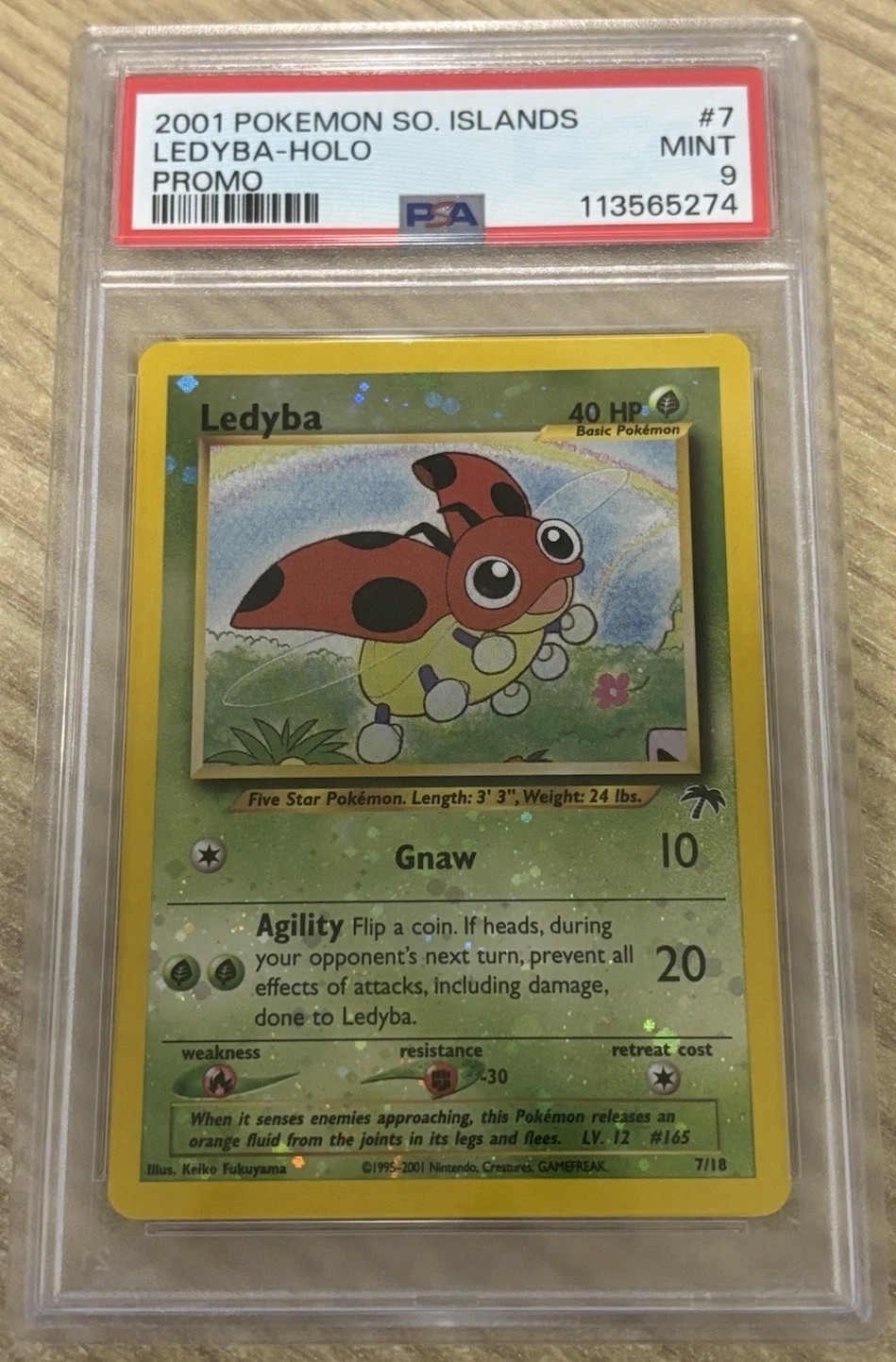 Ledyba
