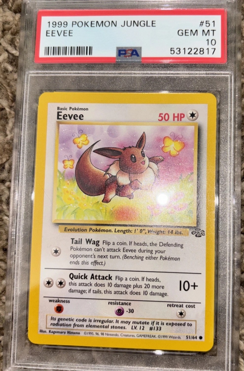 Eevee