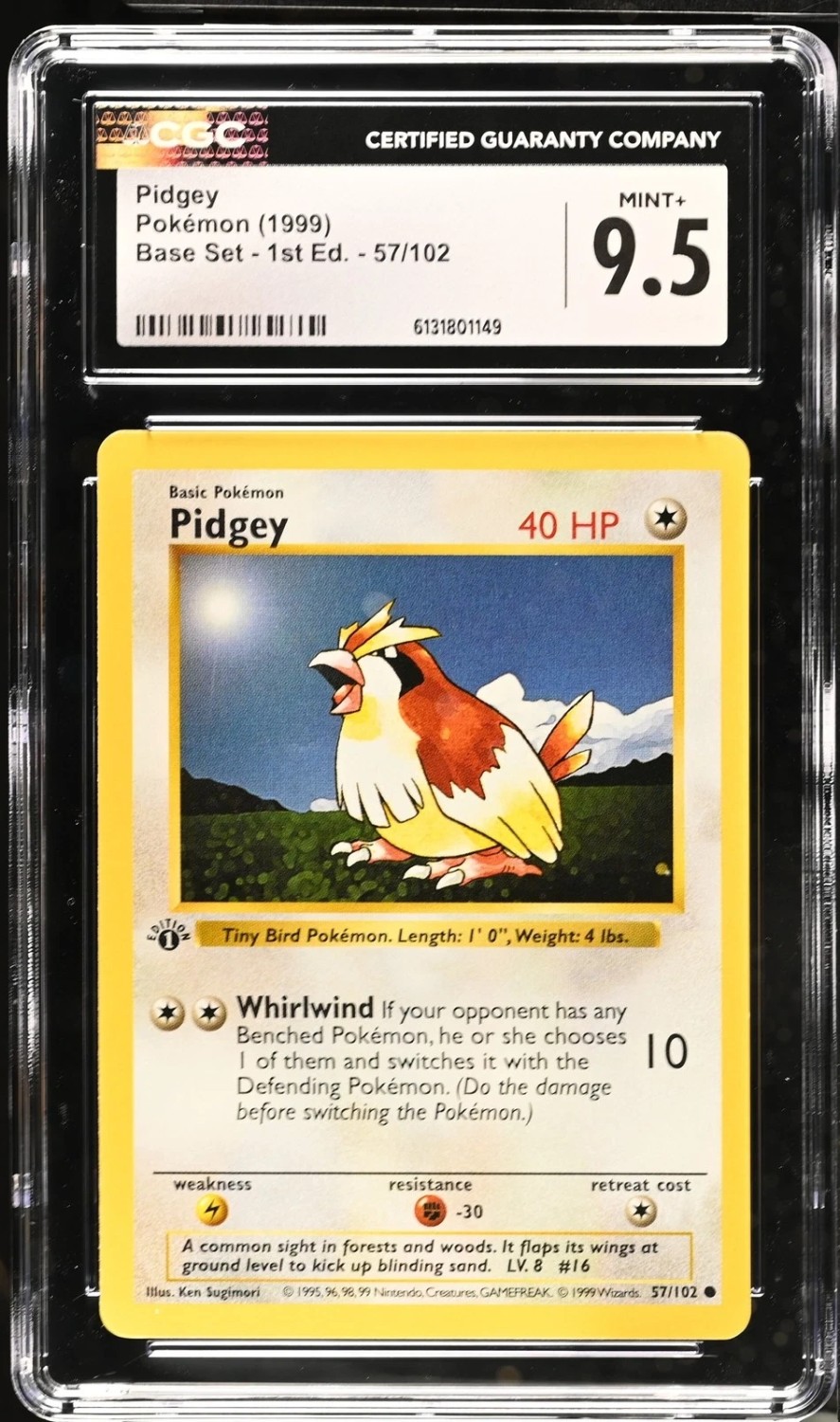 PIDGEY