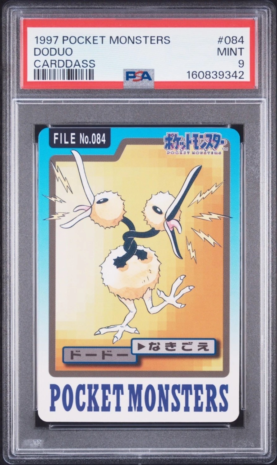 Doduo