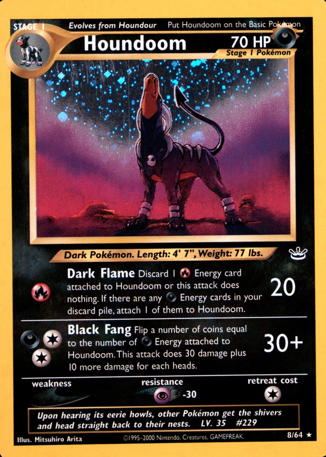 Holo
