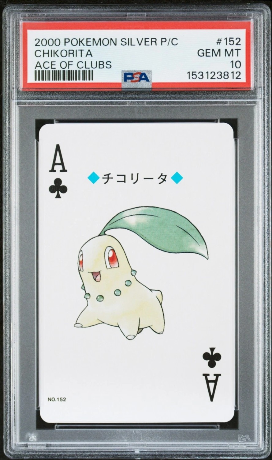 Chikorita